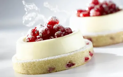 Bavarois Bulgaria (Yoghurt)