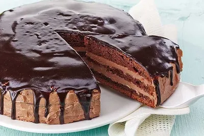 Tegral Satin Belgian Chocolate Cake