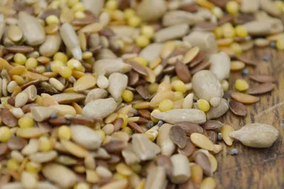 Graindesign Topaze