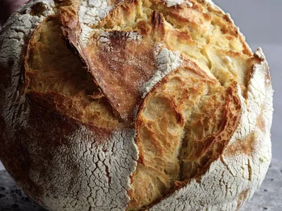 O-tentic Durum 1 x 10 KG