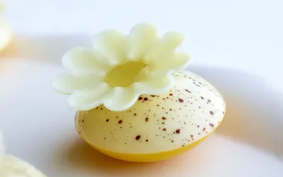 Belcolade Blanc Selection CT X605/J Cacao-Trace