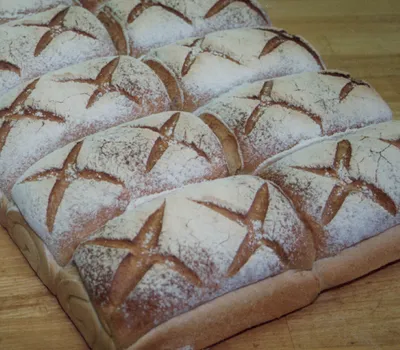 Easy Bourtange Vesting Wit