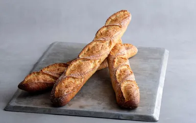 S500 Acti-Plus Baguette Overnight