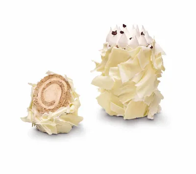 Choco Swiss Roll Gebakje